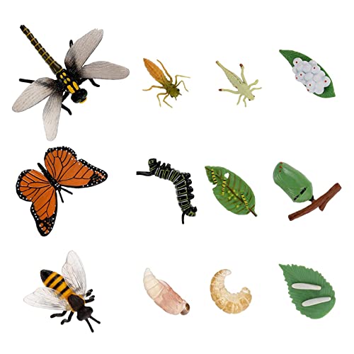 Laughify 12 Piezas Modelos de Ciclo de Vida Animal Mariposa Vida Etapas Figuras Mariquita Abeja Vida Insecto Ciclo de Vida Modelo Juguetes Educativos