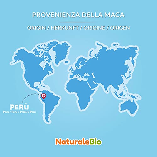 Maca Andina Ecológica en Polvo 200g. Organic Maca Powder Gelatinized. Peruana, Bio y Pura, viene de raíz de Maca Organica - Gelatinizada - NaturaleBio