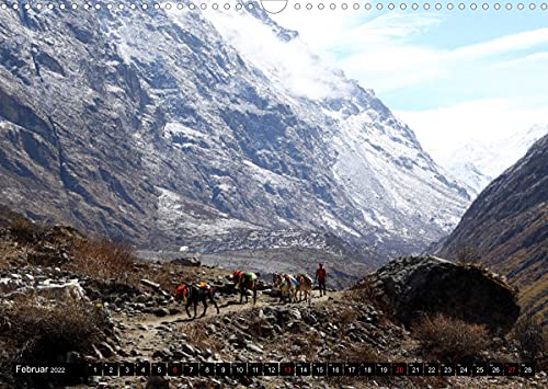 Nepal, das Langtang Tal (Wandkalender 2022 DIN A3 quer)