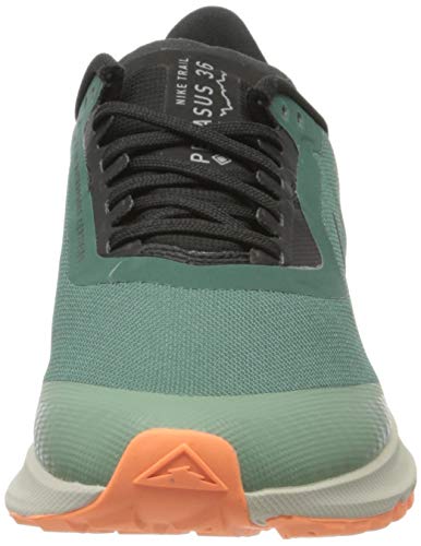 Nike W Zoom Pegasus 36 Trail GTX, Zapatillas de Correr Mujer, Multicolor (Bicoastal/Off Noir/Silver Pine), 39 EU