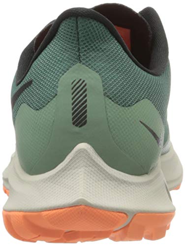 Nike W Zoom Pegasus 36 Trail GTX, Zapatillas de Correr Mujer, Multicolor (Bicoastal/Off Noir/Silver Pine), 39 EU
