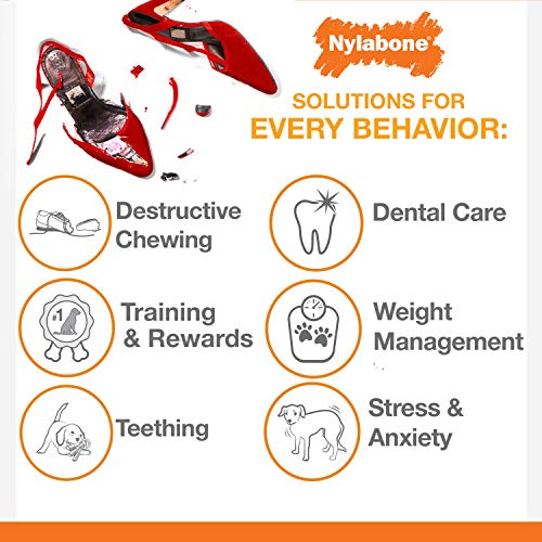 Nylabone - Teething Pacifier juguete para dentición de cachorros