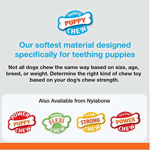 Nylabone - Teething Pacifier juguete para dentición de cachorros