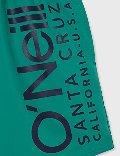 O'Neill Pm Original Cali Shorts, Bañador para Hombre, Verde (6168 Ivy), XL