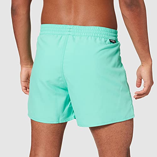 O'Neill Pm Sun&sea Shorts, Bañador para Hombre, Verde (6042 Spearmint), M