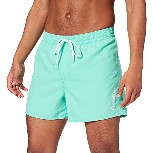 O'Neill Pm Sun&sea Shorts, Bañador para Hombre, Verde (6042 Spearmint), M