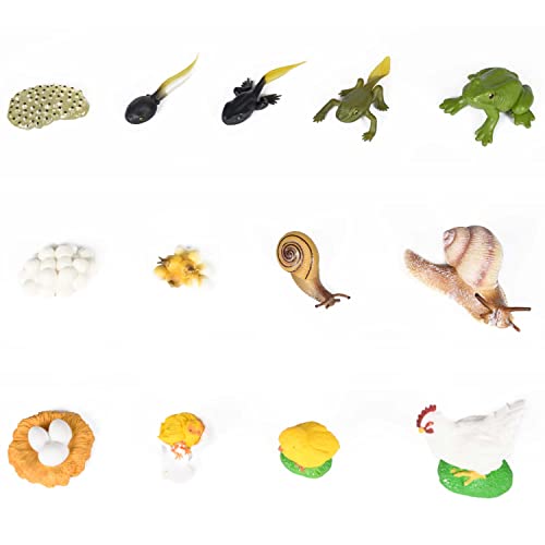 PACHA ECHECS® - Juego de ciclo de vida de animales - Material educativo Montessori para aprender la evolución | Herramienta pedagógica | Figuras realistas | Crecimiento | Anatomía | Biología