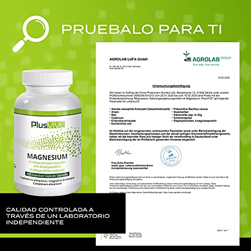 Plusvive - Hidróxido de magnesio con fórmula de mejora de la biodisponibilidad (700 mg), 365 Cápsulas Veganos, 313 g