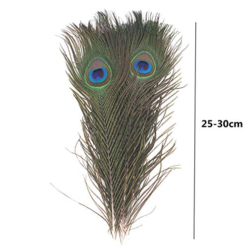 PPX 10 Piezas Plumas del Pavo Real con los Ojos Naturales Altas Plumas de Cola del Pavo Real de la Calidad para la Decoración, 25-30cm