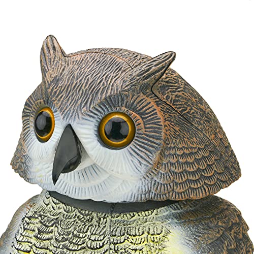 PrimeMatik - Ahuyentador de Aves Tipo Estatua búho con Ojos Reflectantes 40cm Macho