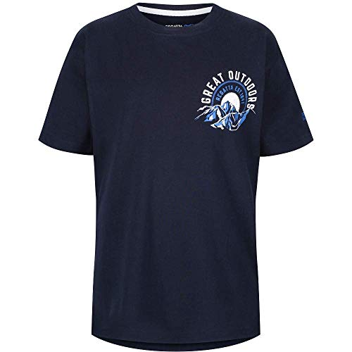 Regatta Bosley II Coolweave Cotton Graphic Print Camiseta, Infantil, Azul y Blanco, 3-4