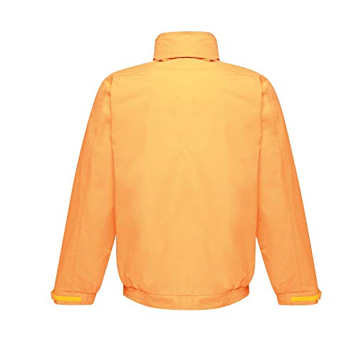 Regatta Dover Waterproof Concealed Hooded Fleece Lined Bomber Jacket Jackets Waterproof Insulated, Hombre, Sun Orange/Seal Grey, XXL