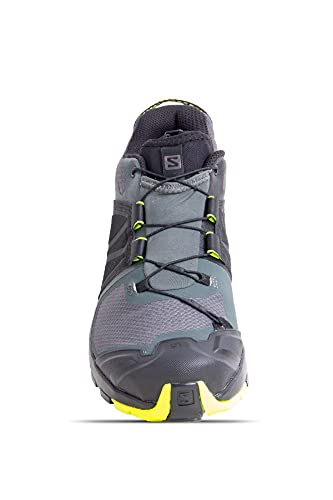 SALOMON Shoes XA Wild GTXUrban, Zapatillas de Hiking Hombre, Multicolor (Urban Chic/Black/Evening Primrose), 47 1/3 EU