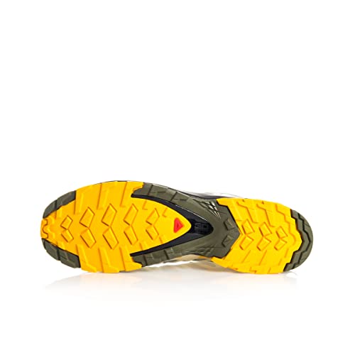 Salomon XA Pro 3D V8 Gore-Tex (impermeable) Hombre Zapatos de trail running, Gris (Quarry/Saffron/Olive Night), 43 ⅓ EU