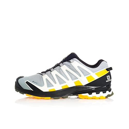 Salomon XA Pro 3D V8 Gore-Tex (impermeable) Hombre Zapatos de trail running, Gris (Quarry/Saffron/Olive Night), 43 ⅓ EU