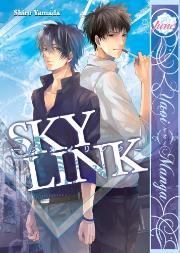Sky Link (Yaoi Manga) (English Edition)