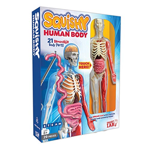 Squishy Human Body (SmartLAB)