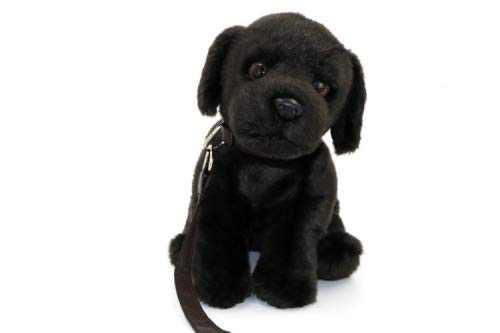 Teddys Rothenburg Peluche de perro labrador, color negro, 35 cm