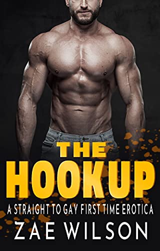 The Hook Up: A Straight to Gay First Time Erotica (English Edition)