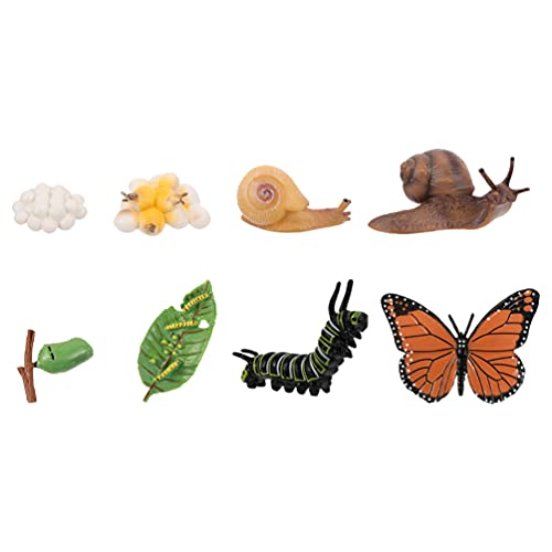 TOYMYTOY 2 Conjuntos de Figuras de Ciclo de Vida de Mariposas Y Estatuillas de Insectos Caracol Etapas de La Vida Juguetes Modelo para Proyecto Escolar Educativo