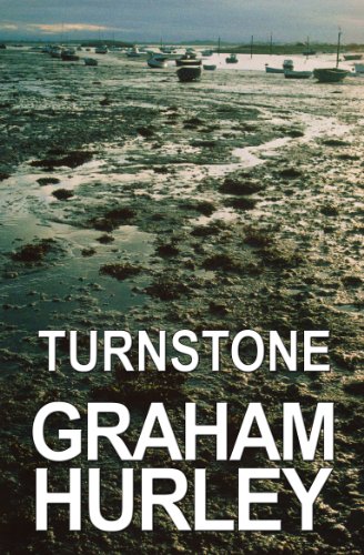 Turnstone (The Faraday and Winter Series Book 1) (English Edition)