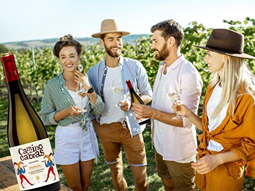 Vino Blanco Albariño Rías Baixas |Vinos buenos para Regalar | Estuche Vino Gallego | Producto Gourmet | Pack Regalo Vino | 2 Botellas x 750 ml CAMINO DE CABRAS | Regalo original Hombre & Mujer