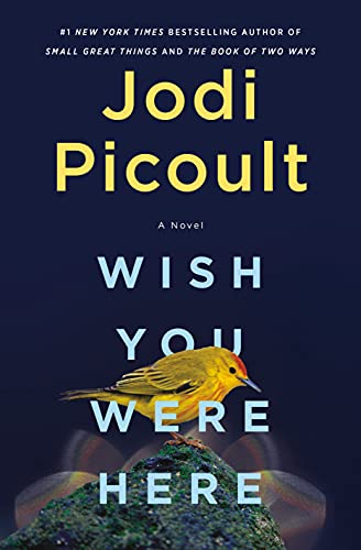 Wish You Were Here: A Novel (English Edition)