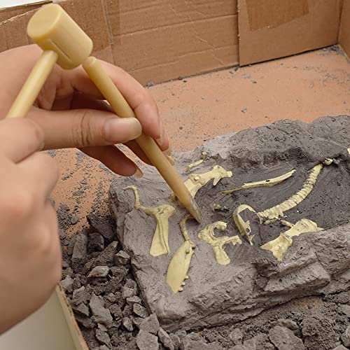 YUDIZWS Kit De Excavación Fósiles Dinosaurio, Juguete De Montaje De Esqueleto De Dinosaurio, Arqueología Y Paleontología Juguetes De Ciencia Stem, Regalo para Entusiastas De La Excavación,Pterodactyl