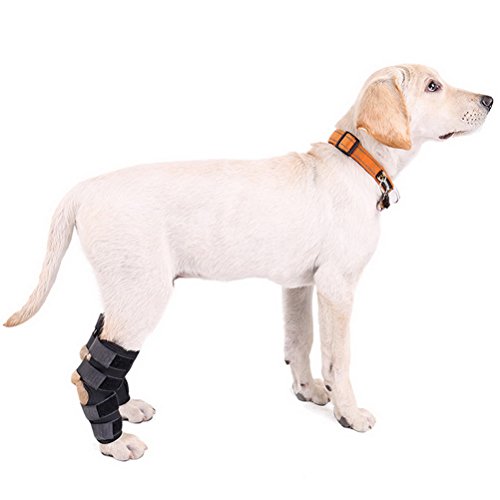 Zunea Perros caninos de pierna trasera Hock Joint Brace 2Pack Protector de pierna y soporte adicional, manga de compresión para lesiones de heridas y esguinces para curación de artritis - (negro, L)