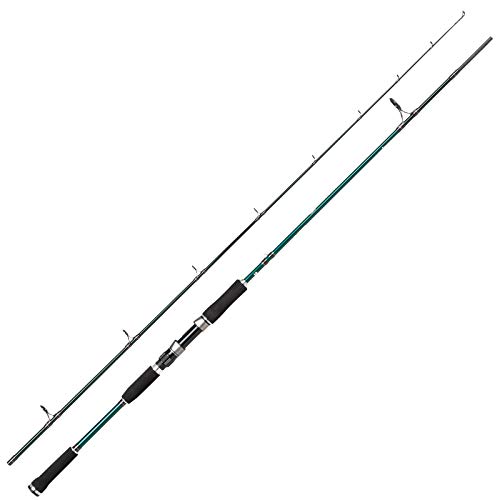 Abu Garcia Beast X Spinning Rod – Pike Fishing Spin Rod para fundición Swimbaits, Crankbaits o Trolling Desde Barco o Kayak