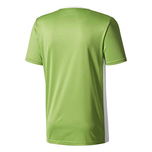 adidas Entrada 18 - Camiseta de entrenamiento - F1706GHTM111, playera Entrada18, XL, Verde Rave / Blanco