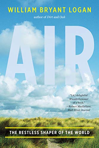 Air: The Restless Shaper of the World (English Edition)