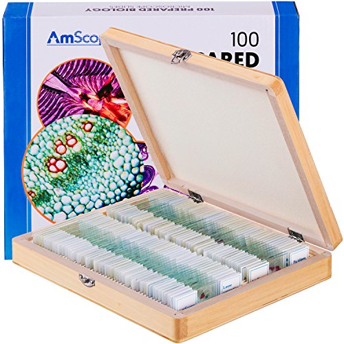 AmScope PS100B - Juego de portaobjetos de microscopio para educación básica de Ciencia biológica, 100 Diapositivas, Juego B, Incluye Estuche de Madera