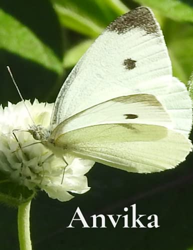 Anvika's Journal