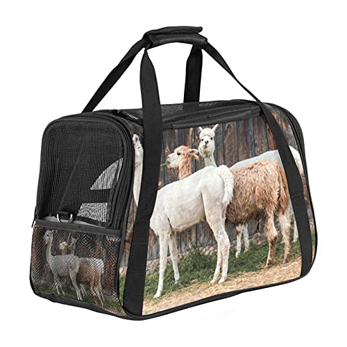 Bolsa de viaje portátil para mascotas, bolsas de lona aprobadas por aerolíneas para gato y conejo, con cara suave alpaca, alquileres vacacionales, impresión de piel de lana