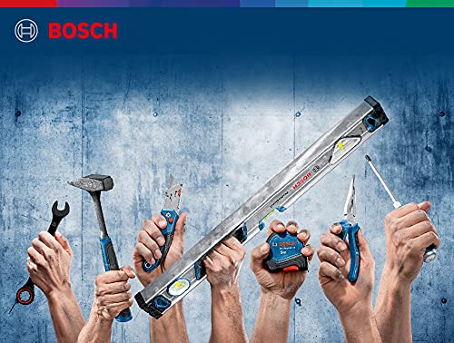 Bosch Professional 1600A016BN Nivel Magnético, longitud 25 cm, Burbuja de Doble Visión, Gris