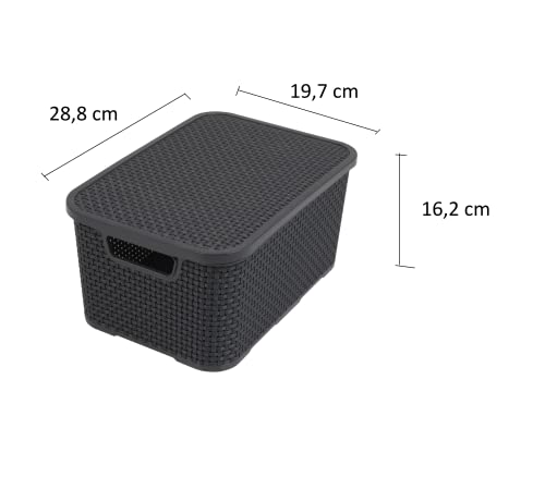 BranQ - Home essential Rattan im Trend-Juego de 3 cestas (tamaño M, 10 L), plástico PP, Antracita, 28,8x19,7x16,2 cm (LxBxH)
