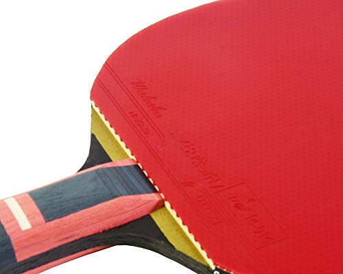 Butterfly Zhang Jike Zjx6 Wakaba - Bate de Tenis de Mesa, Color Negro y Rojo