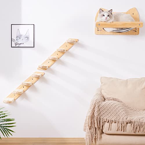 DaizySight - Estantería para gatos y perchas para pared, para dormir, jugar, escalar y descansar, soporta hasta 30 libras