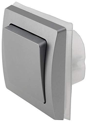 Delphi - Interruptor empotrado para exteriores (250 V, IP44, para zonas húmedas, para interiores y exteriores, color plateado y gris