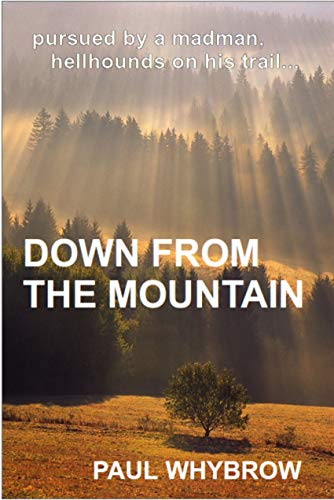 Down From The Mountain: The Continuing Adventures of Art Palmer (English Edition)