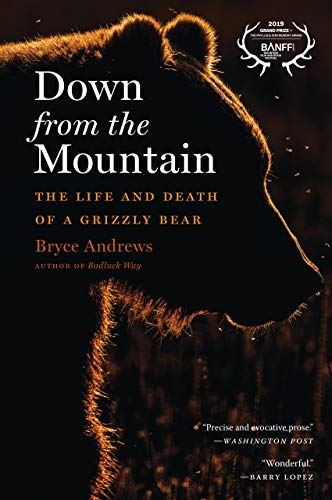 Down From The Mountain: The Life and Death of a Grizzly Bear (English Edition)