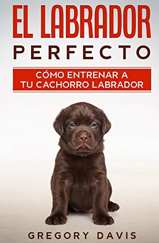 El Labrador Perfecto: Cómo Entrenar a Tu Cachorro Labrador