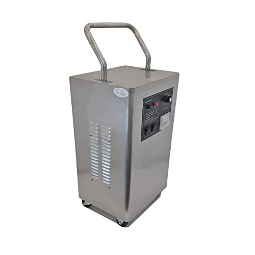 Generador de ozono 2 en 1 para purificación de aire y agua profesional 10 g/h, hasta 100 m²2, ozonizador con temporizador, esterilizador desinfectante (10.000 mg/h)