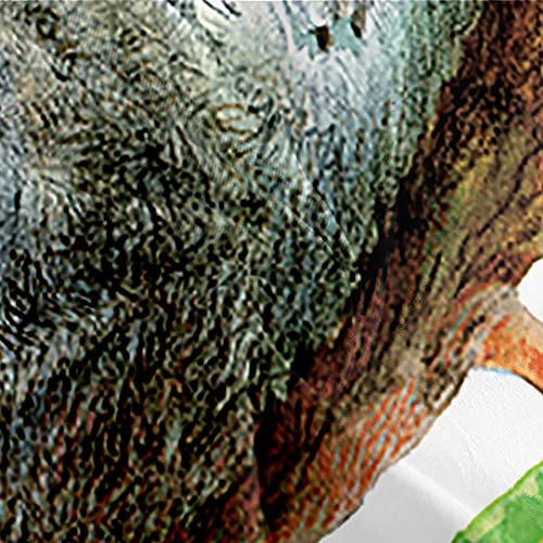 GFWDPG Juego De Ropa De Cama De Microfibra (260x240cm) Verde Animal Canguro arborícola Microfibra Funda De Nórdica Y 2 Fundas De Almohada