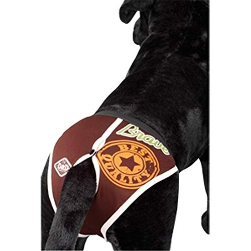 Global Slip para Perro Dog Pants | Slip marrón para Perro | Braguita para Perros Talla M