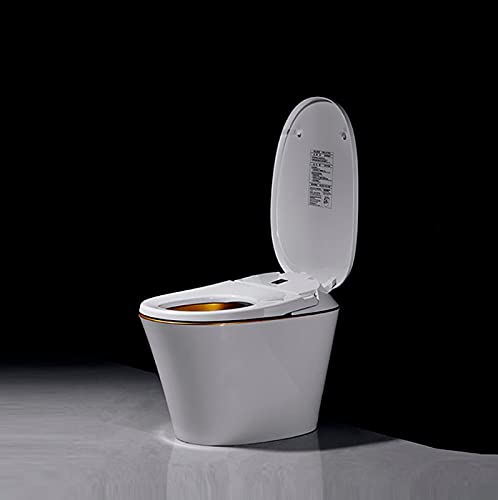 Inodoro Bidet completo, VOGO R570 Asiento Sanitario japonés Inteligente, WC para baño con Ducha eléctrica (Salida a pared)