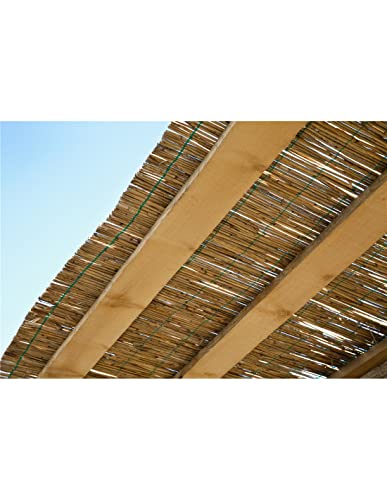 Jardin202 - Cerramiento Natural Bambú Fino de ocultación | Seleccione LA Medida | Varias Medidas | Rollo: 1 x 5 Metros