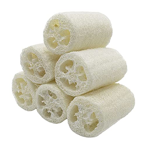 Loofah Natural,6 PCS Esponjas de Luffa Nature Esponja Exfoliante Esponja Ducha de Lufa Esponja de Lufa para Cuerpo Esponja para Ducha Limpieza de Cocina blanco