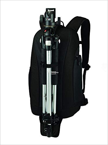 Lowepro Flipside 300 - Mochila para cámaras ( SLR con objetivos de hasta 300 mm y hasta tres objetivos adicionales), color negro